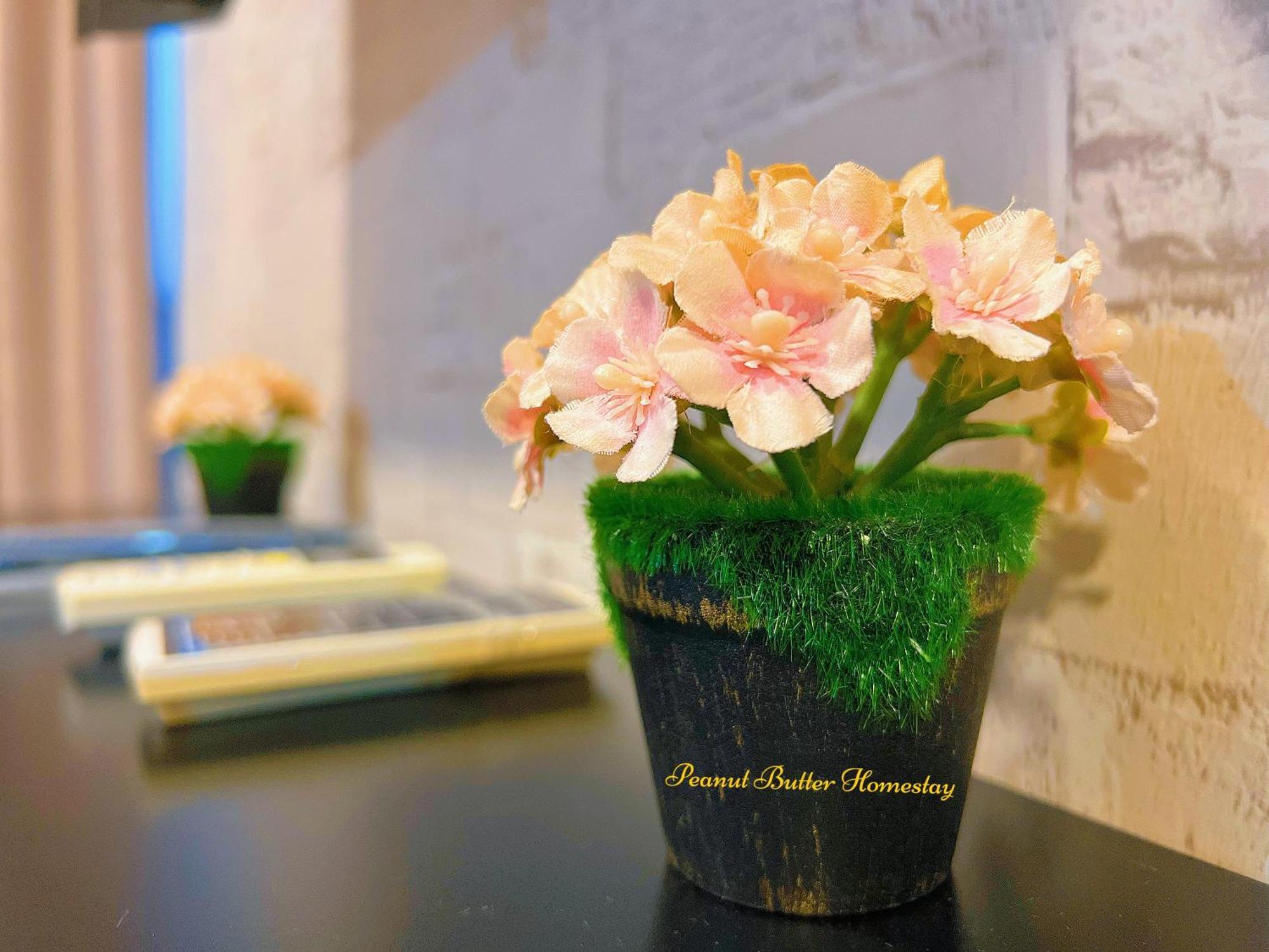 Peanut Butter Homestay #Trefoil Setia City 实达阿南 外观 照片